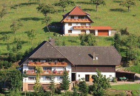 Kempfenhof Oberharmersbach Exteriér fotografie